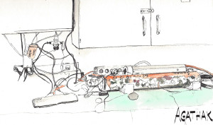 0907 sonde inventaire poisson