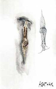 1007 lievre de mer aquarelle
