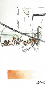 1307 coraux couleurs 2