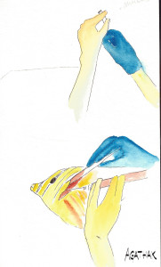 1307 mucus poisson papilon