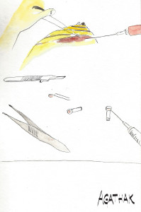 1307 poisson papillon