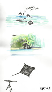 1507 prise de son raie