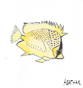 1607 poisson en train de mourir