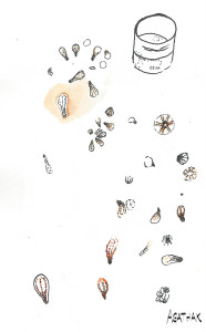 2007 larve de coraux