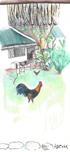 2107 CRIOBE vu du FARE