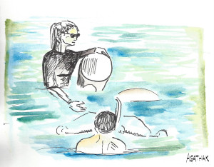 2207 Tortue Photo Te mana