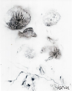 2407 dessin sous l'eau