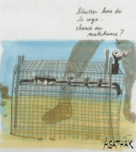 1908 corail et bénitier - Copie