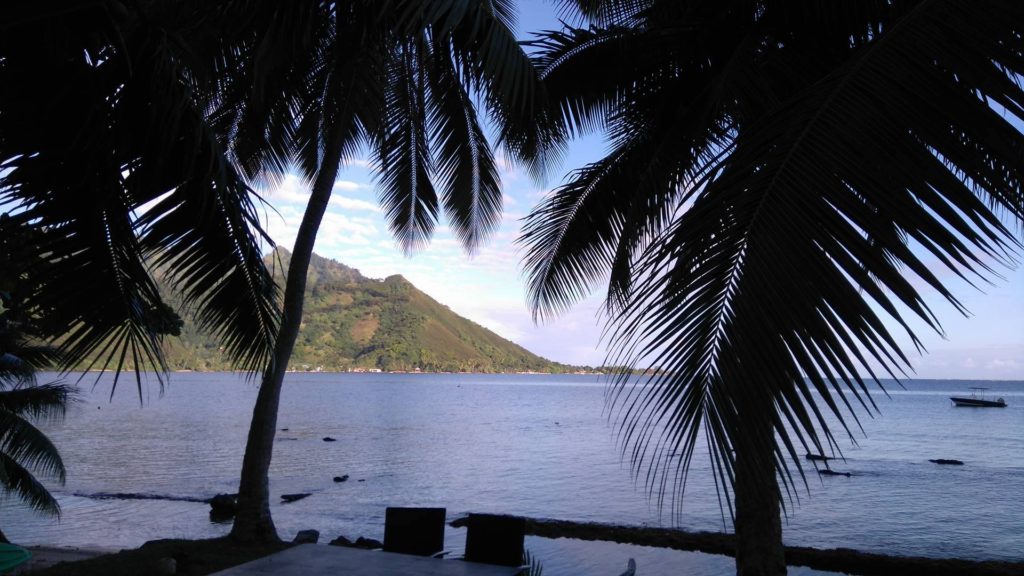 13282636_10154100260455450_115736359_o