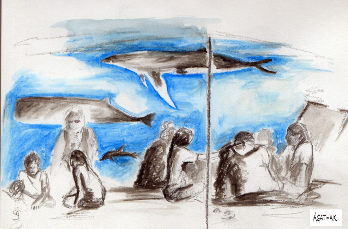 Journée des océans