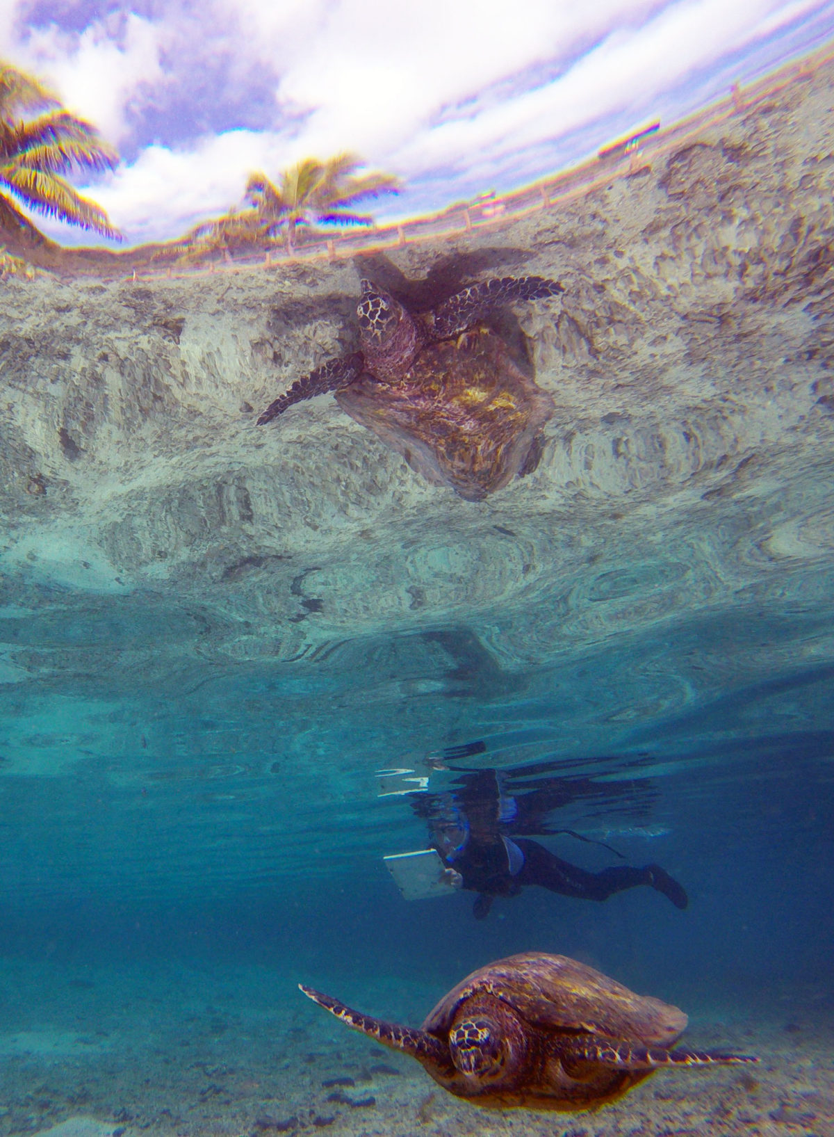 Making of (un grand merci à Matthieu)