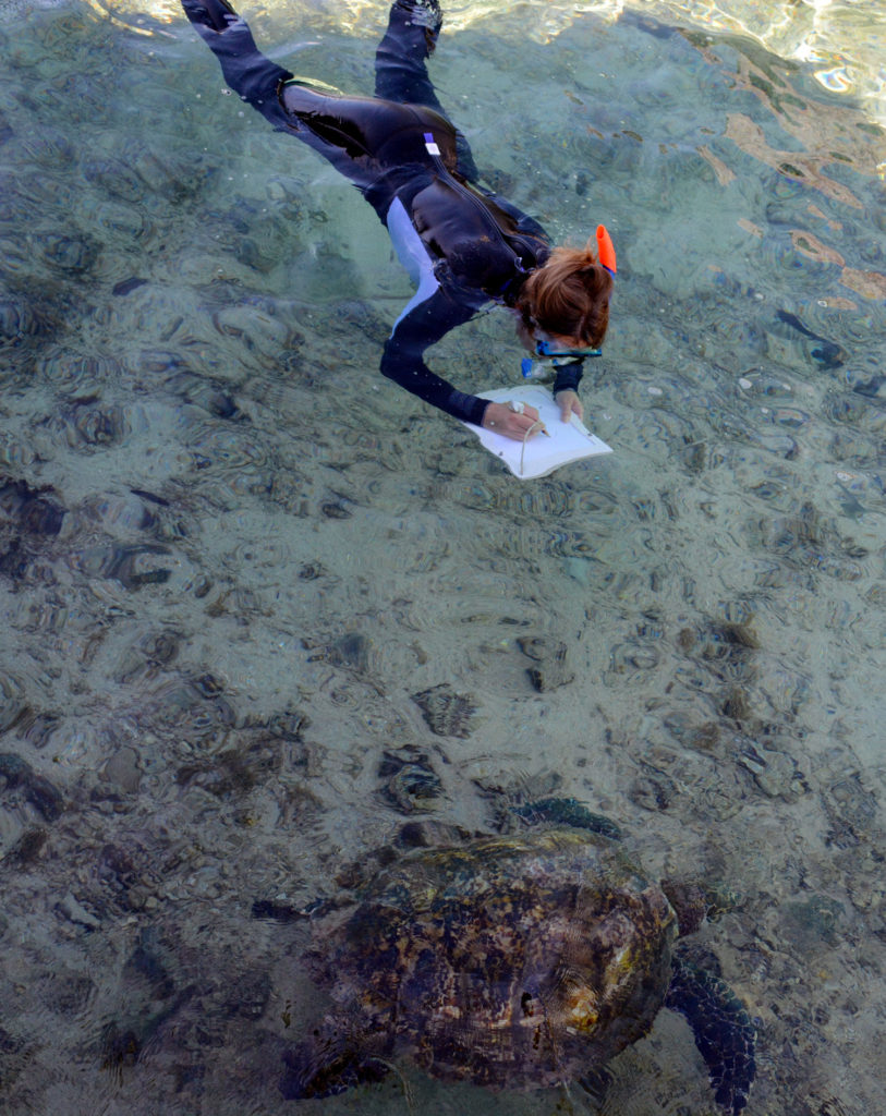 photomatthieuhorsdeleau